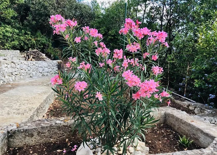 Lux Apartament Korčula