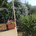 Lux קורצולה