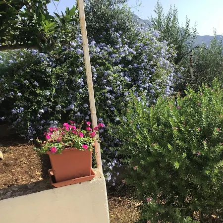 Lux Κόρτσουλα